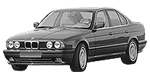 BMW E34 P1E55 Fault Code