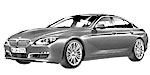 BMW F06 P1E55 Fault Code